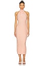 view 1 of 3 Nikita Dress in Rosey