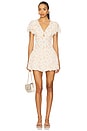view 1 of 3 Lynda Dress in Birch Daisy