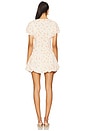 view 3 of 3 Lynda Dress in Birch Daisy