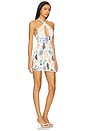 view 2 of 3 Amherst Dress in Summer Convo