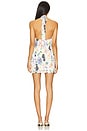 view 3 of 3 Amherst Dress in Summer Convo