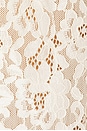 view 4 of 4 Aria Lace Dress in Gardenia