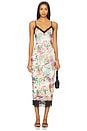 view 1 of 3 Nissa Dress in Desert Tropical