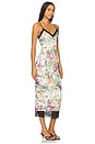 view 2 of 3 Nissa Dress in Desert Tropical