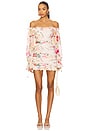 view 1 of 3 Claudia Dress in Sand Summer Rose