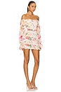 view 2 of 3 Claudia Dress in Sand Summer Rose