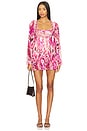 view 1 of 6 Madison Dress in Berry Butterfly
