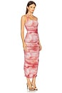 view 3 of 4 Indina Dress in Rust Snake