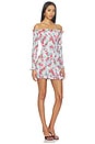 view 2 of 4 Peck Dress in Digital Floral