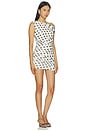 view 2 of 3 VESTIDO CHASKA in Antique Cream Dot