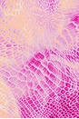 view 5 of 5 Sunndy Dress in  Lavender Snake
