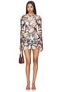 view 1 of 3 Mirza Dress in Brandy Butterfly