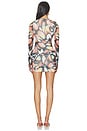 view 4 of 3 Mirza Dress in Brandy Butterfly