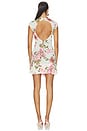 view 4 of 3 Lorraine Dress in Layered Roses