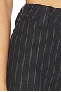 view 11 of 11 The Tailored Hot Short in Dark Grey Stripe