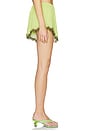 view 4 of 7 Priah Short in Lime Pin Dot