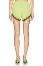 view 5 of 7 Priah Short in Lime Pin Dot
