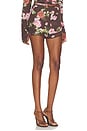 view 2 of 6 Gylnn Short in Chocolate Rose