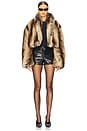 view 7 of 8 Stephanie Jacket in Taupe