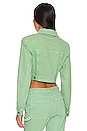 view 3 of 4 CHAQUETA VAQUERA MAGDA in Kelly Green