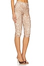 view 2 of 6 Gianna Pant in Taupe Animal