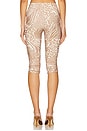 view 4 of 6 Gianna Pant in Taupe Animal