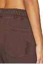view 6 of 6 СПОРТИВНЫЕ БРЮКИ FINLEY in Espresso