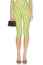 view 1 of 6 Gianna Capri Pant in Wild Lime Dot
