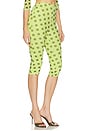 view 2 of 6 Gianna Capri Pant in Wild Lime Dot