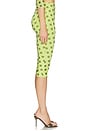 view 3 of 6 Gianna Capri Pant in Wild Lime Dot