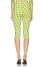 view 4 of 6 Gianna Capri Pant in Wild Lime Dot