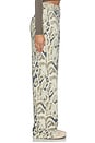 view 4 of 6 PANTALÓN FINELY FRENCH TERRY in Twill Leopard