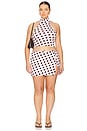 view 10 of 11 Ritsu Skirt in Rose Dot