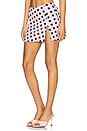 view 5 of 11 Ritsu Skirt in Rose Dot