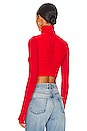 view 3 of 4 Dionne Top in Fiery Red