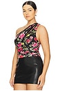 view 6 of 12 Delany Top in Wallpaper Rose