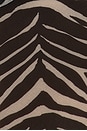view 9 of 9 Nina Top in Desert Zebra