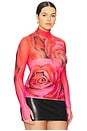 view 4 of 10 Zadie Top in Organic Rose