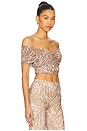 view 2 of 5 Fabiola Top in Taupe Animal