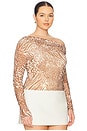 view 4 of 11 Barry Top in Taupe Animal