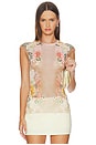 view 1 of 4 Nina Top in Honey Rose Frame