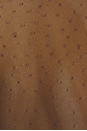 view 6 of 6 Milo Dew Drop Bodysuit in Espresso