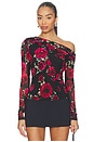 view 1 of 4 Barry Long Sleeve Top in Painted Roses