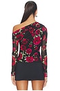 view 3 of 4 Barry Long Sleeve Top in Painted Roses