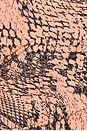 view 6 of 6 EARL トップ in Peach Snake
