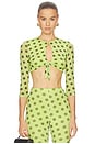 view 1 of 4 Nisha Top in Wild Lime Dot