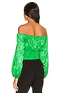 view 3 of 4 Jonas Top in Fem Green in Fern Green