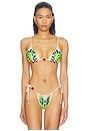 view 1 of 4 Capri Beaded Bikini Top in Lime Butterfly