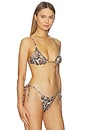 view 2 of 4 Capri Bikini Top in Sand Serpent