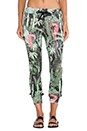 view 1 of 3 Jade Joggers in Tropical